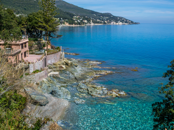 Découvrez les propriétés de luxe en Corse : villas modernes, maisons traditionnelles et domaines exceptionnels dans un cadre naturel unique. 🌴🌅