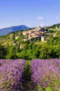 Immobiler de luxe Provence -Alpes-Côte-d'Azur - Immobilier de luxe en Provence - Propriétés de Charme | Propriétés De Charme Vente de Propriétés de Luxe en Provence-Alpes-Côte d’Azur : Découvrez les Destinations les Plus Prisées