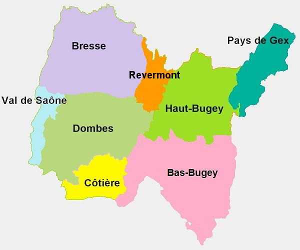 Explorez l'immobilier de luxe dans l'Ain : maisons, villas de prestige et propriétés exceptionnelles en vente, au cœur d'une région unique. 🌟🏠