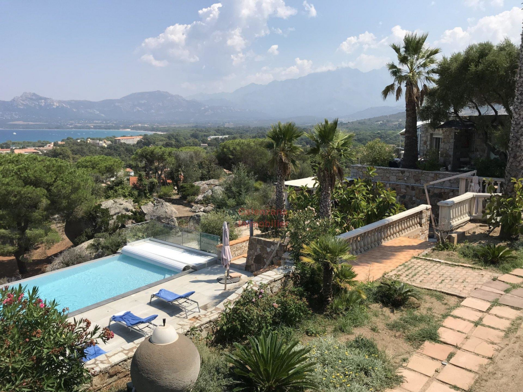 Immobilier de Luxe à Calvi : Élégance et Beauté en Corse
