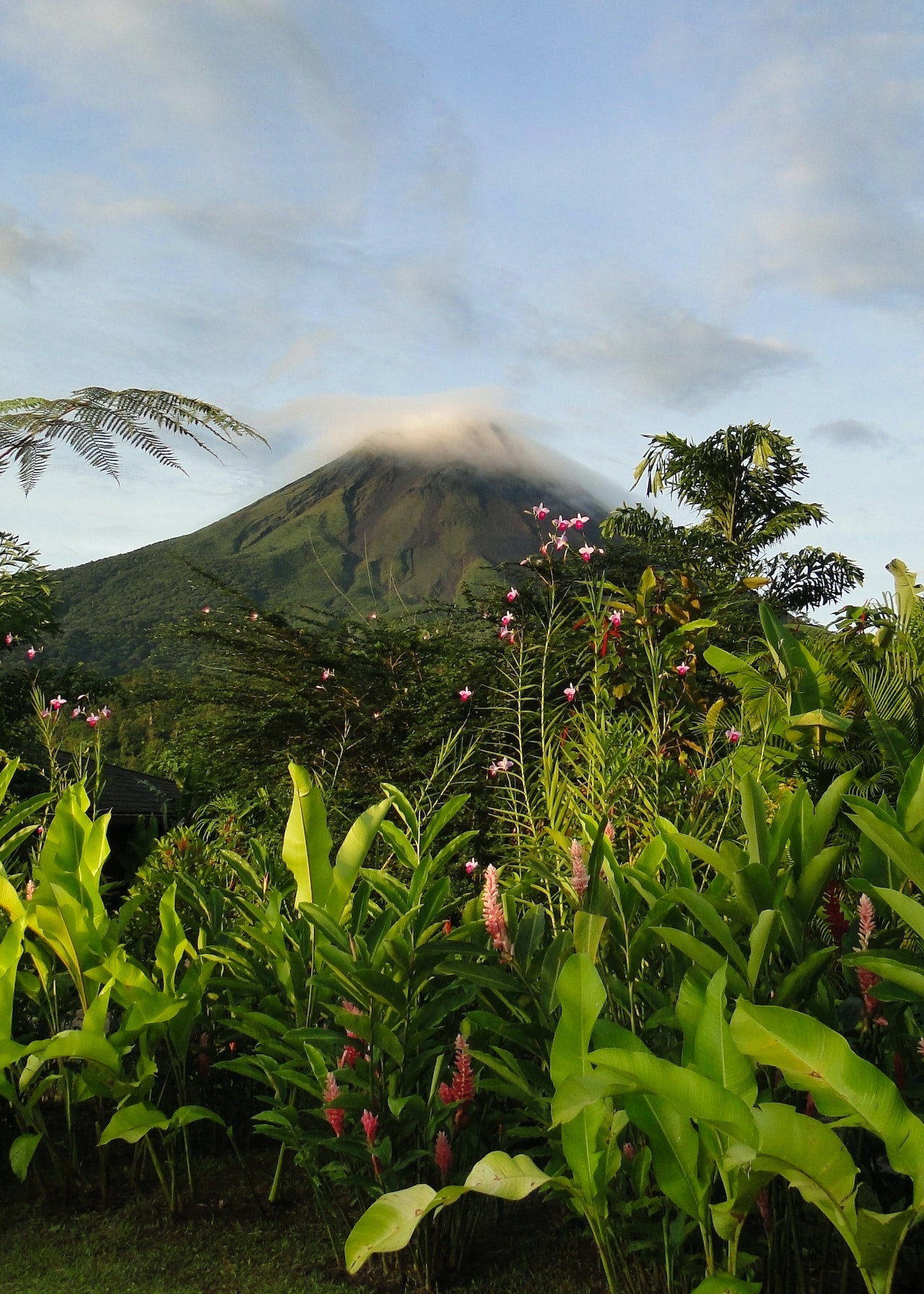 Luxury Penthouses for Sale in Costa Rica – Breathtaking Views Await