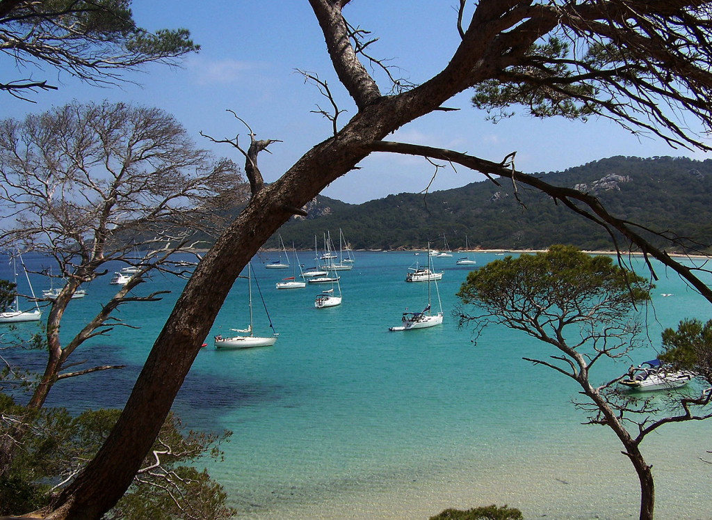 Découvrez l’immobilier de luxe dans le Var, de Saint-Tropez à Toulon. Villas, propriétés en bord de mer et domaines viticoles prestigieux y sont très prisés.