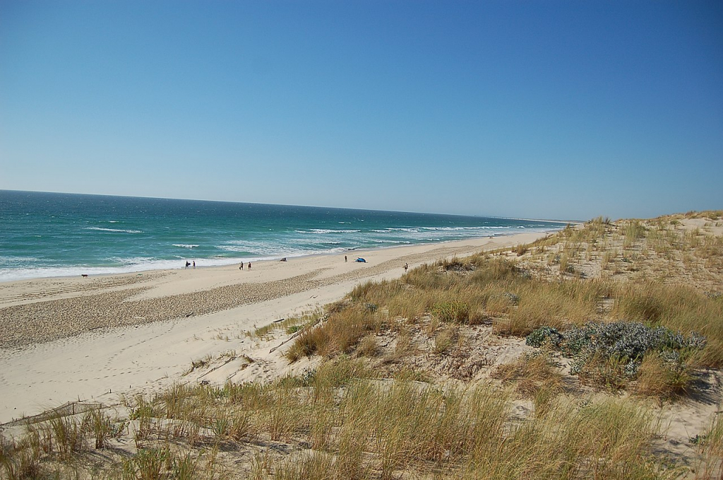 Agences immobilières des Landes pour la vente de propriétés d'exception. Trouvez votre bien de luxe au cœur de cette région ensoleillée de la côte Atlantique.