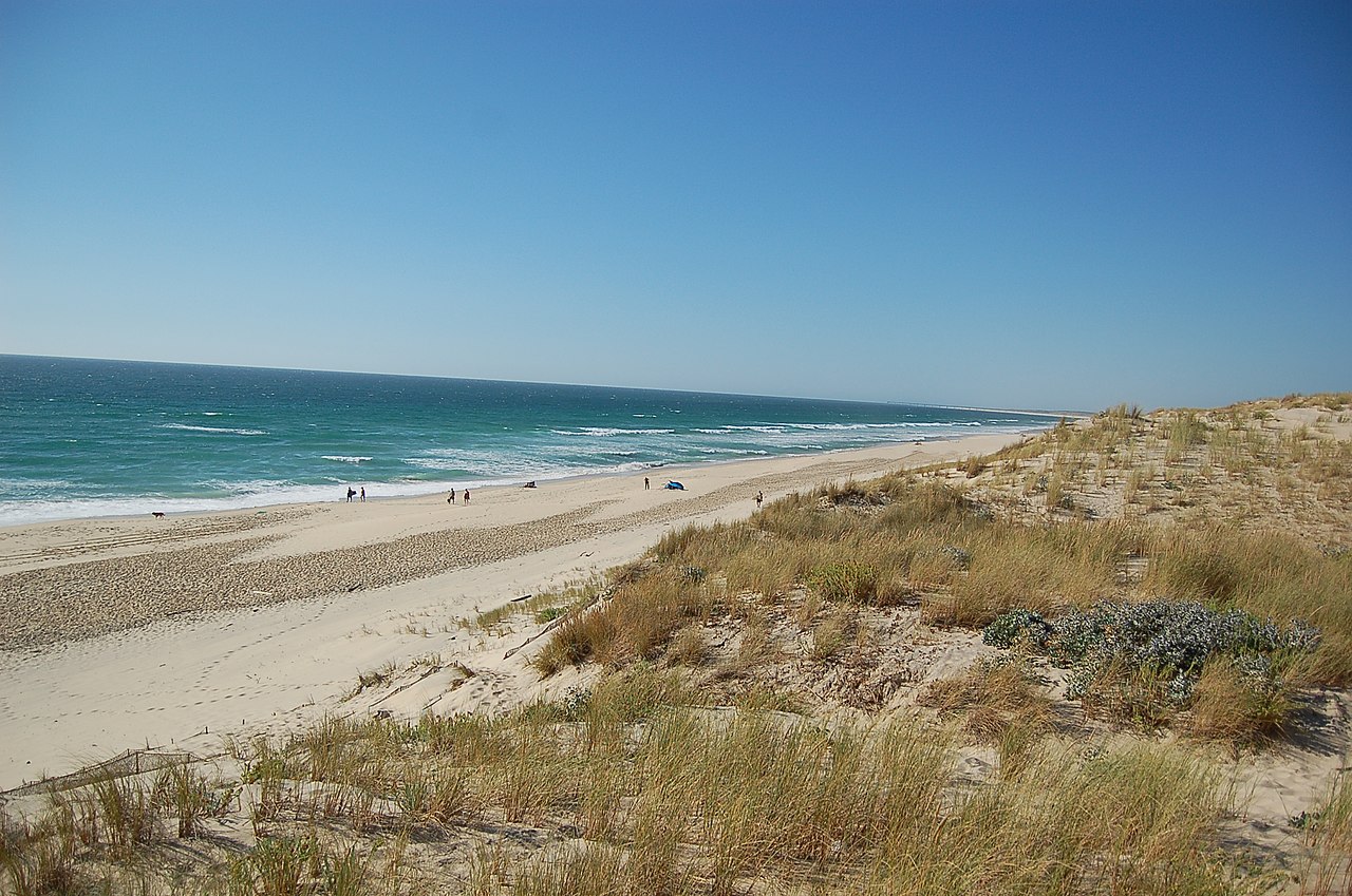 Agences immobilières des Landes pour la vente de propriétés d'exception. Trouvez votre bien de luxe au cœur de cette région ensoleillée de la côte Atlantique.