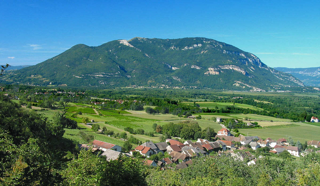 Agences immobilières de luxe Ain (01) Immobilier de Luxe