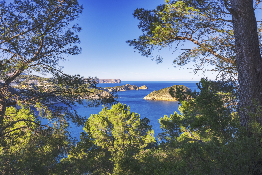 Luxury Villas for Sale on the French Riviera: A Dream Destination for Global Buyers
