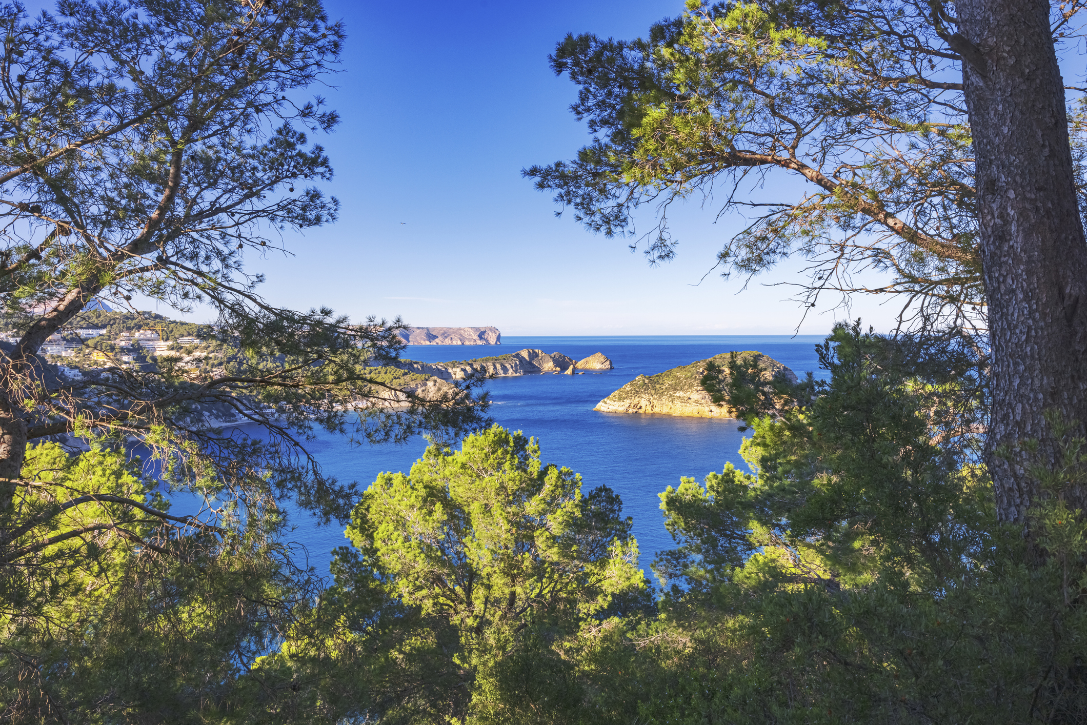 Luxury Villas for Sale on the French Riviera: A Dream Destination for Global Buyers