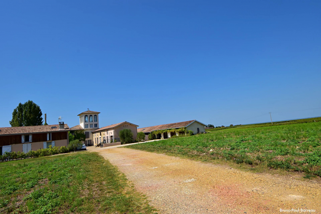 Découvrez nos annonces de propriétés viticoles à vendre à Sauternes sur Propriétés de Charme. Investissez dans l'excellence viticole au cœur de Bordeaux.