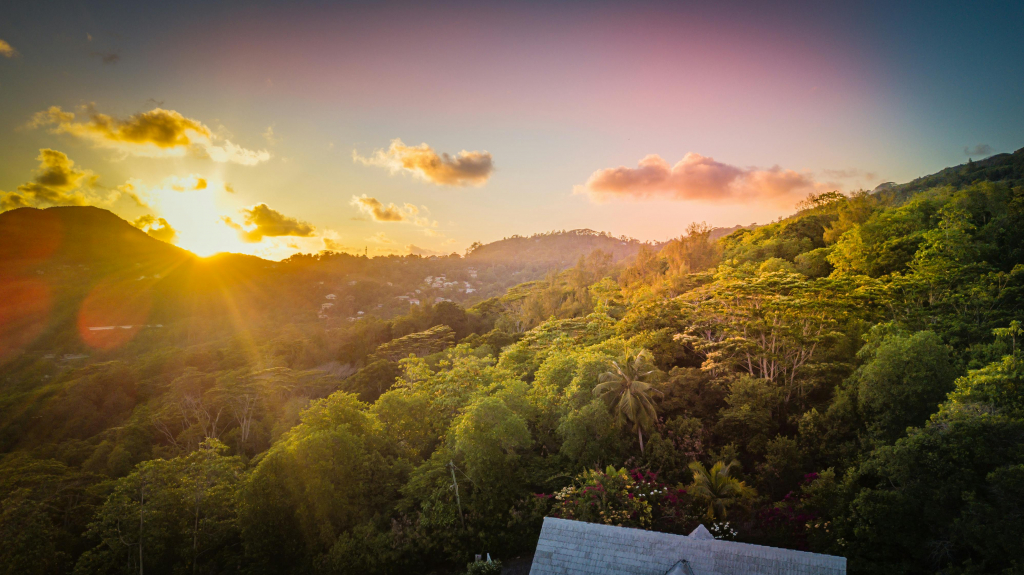 Découvrez comment investir dans l'immobilier de luxe aux Seychelles. Opportunités exclusives et biens d'exception à vendre dans un cadre paradisiaque.