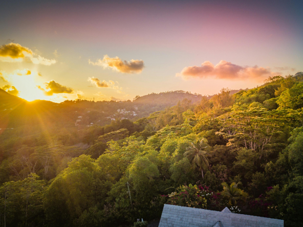 Découvrez comment investir dans l'immobilier de luxe aux Seychelles. Opportunités exclusives et biens d'exception à vendre dans un cadre paradisiaque.