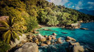 Discover Seychelles: Luxury and Luxury Real Estate Explore Seychelles with Charming Properties: idyllic beaches, unique biodiversity and luxury real estate investment opportunities.