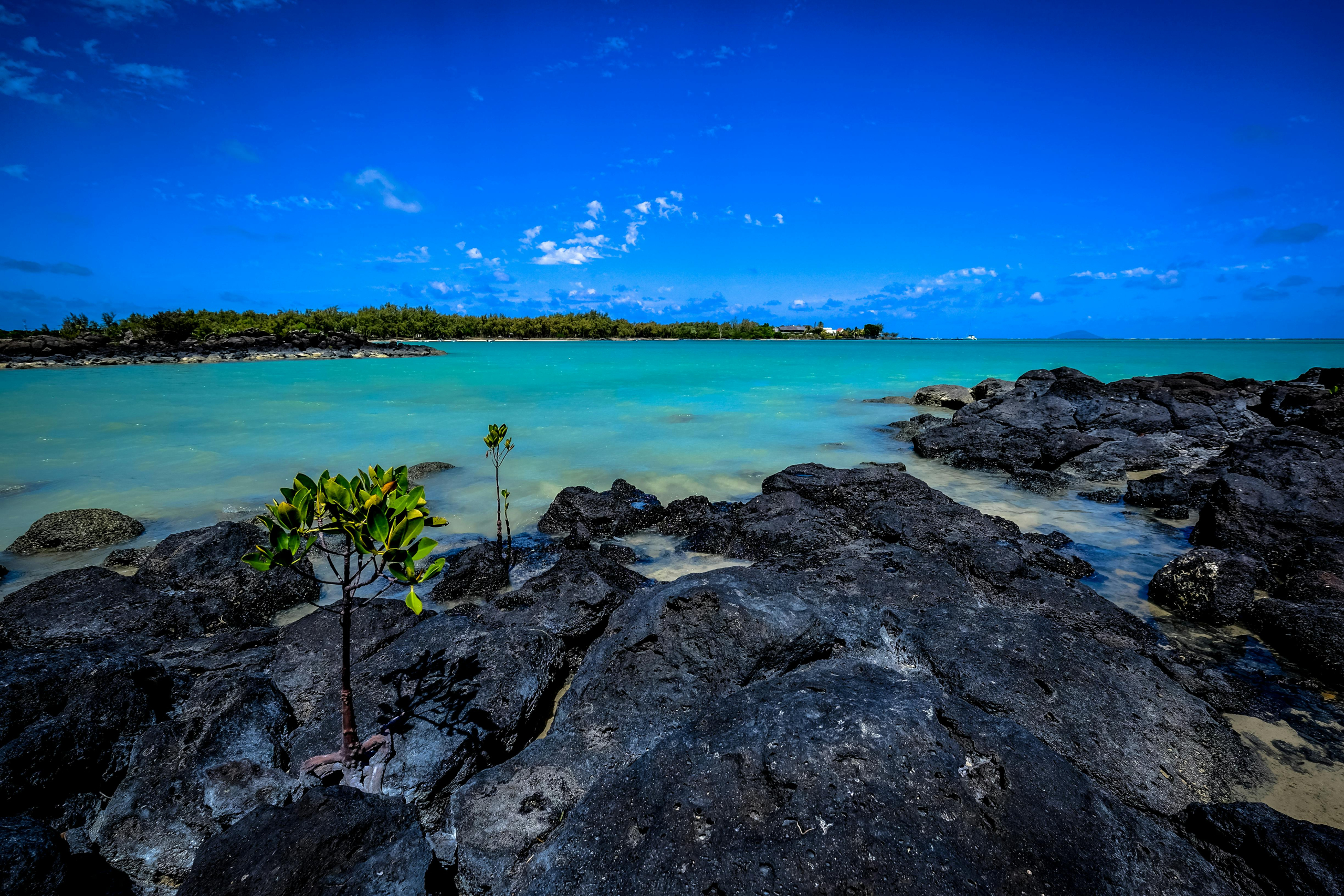 Immobilier de luxe Île Maurice - Luxury Real Estate Mauritius 