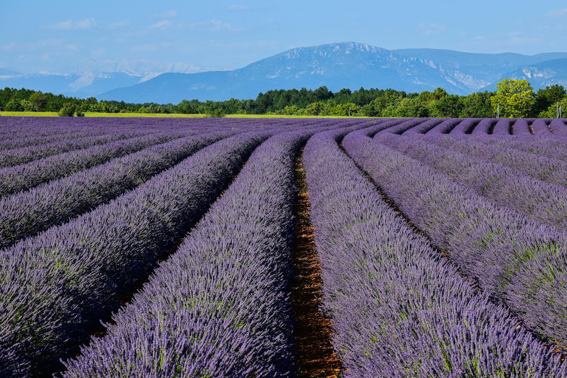 Propriétés de luxe à vendre en Provence-Alpes-Côte d’Azur : Villas et Bastides