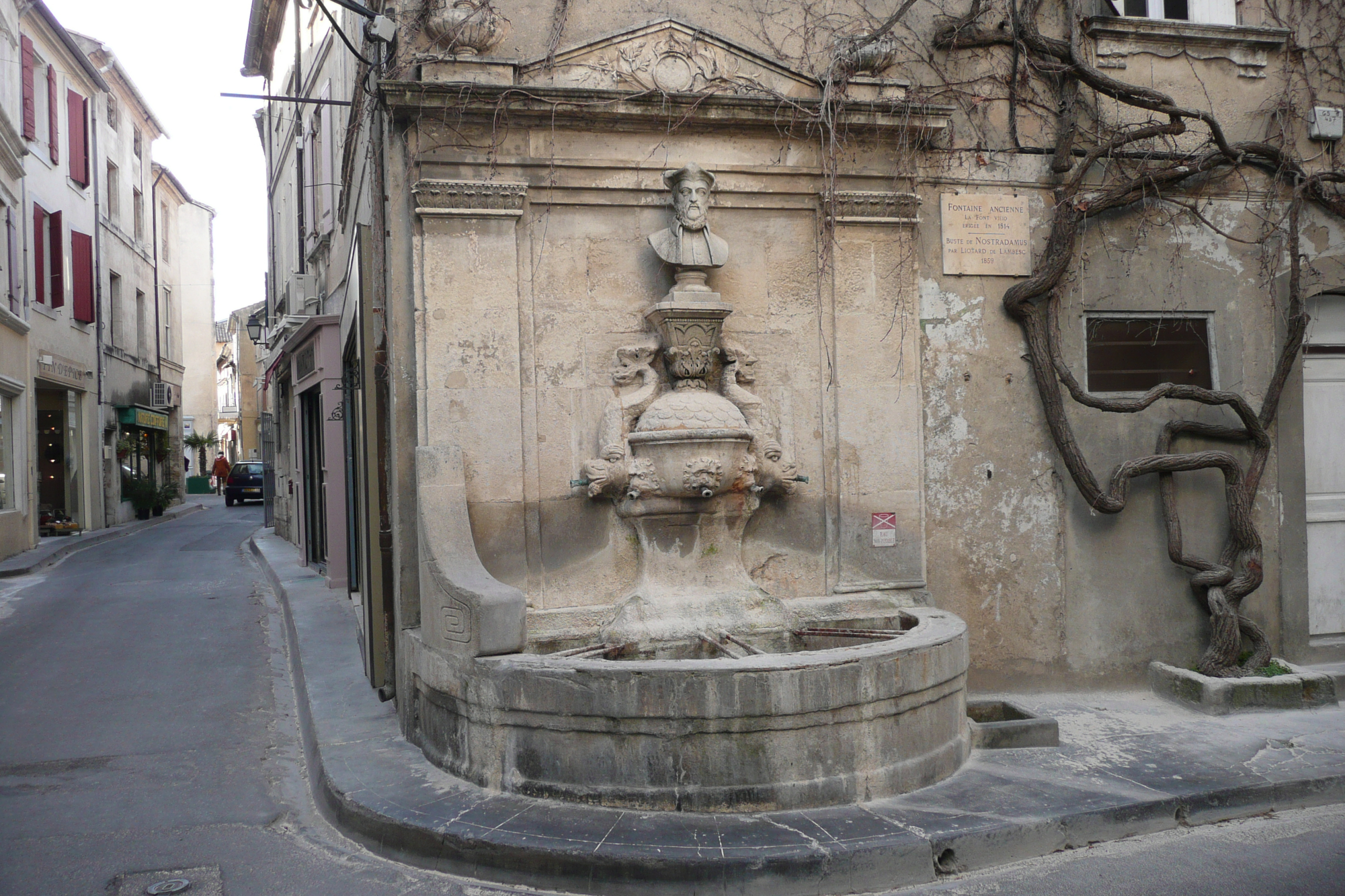 Fontaine Nostradamus à Saint Rémy de Provence.