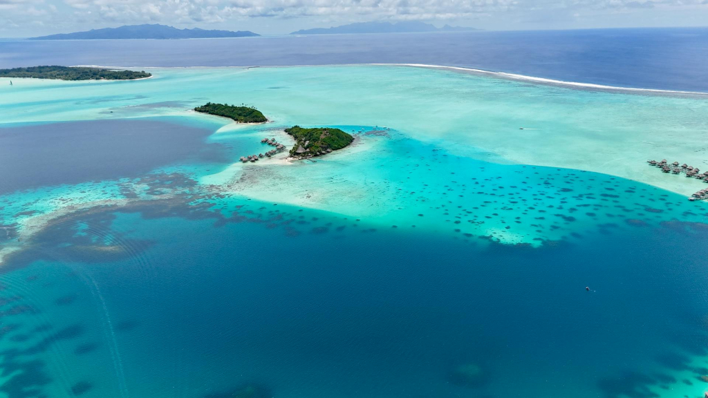 Vente Hôtels et Restaurants de Luxe à Tahiti Propriétés Clovis