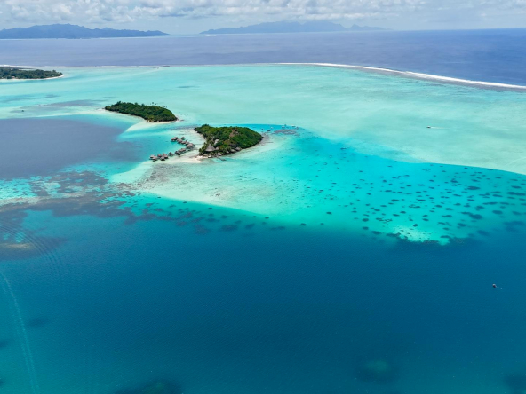Vente Hôtels et Restaurants de Luxe à Tahiti Propriétés Clovis