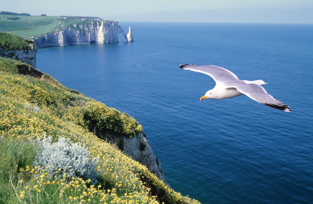 Immobilier de luxe en Normandie vendre votre propriété 
