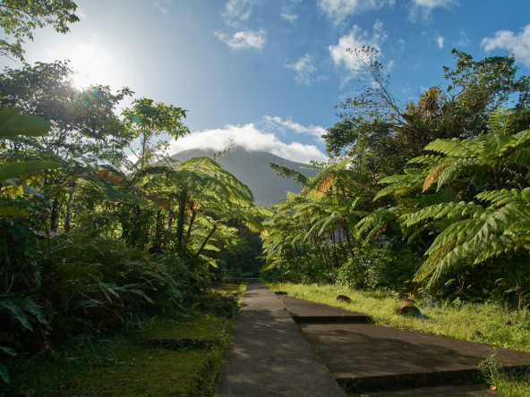 Découvrez le marché de l’immobilier de luxe en Guadeloupe et publiez vos annonces sur Propriétés de Charme, le portail dédié aux biens d’exception.