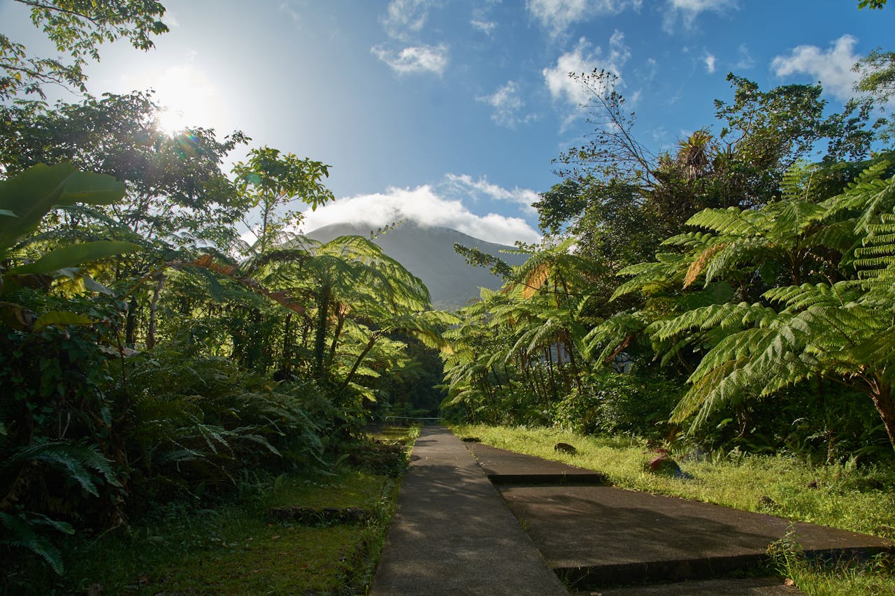 Découvrez le marché de l’immobilier de luxe en Guadeloupe et publiez vos annonces sur Propriétés de Charme, le portail dédié aux biens d’exception.