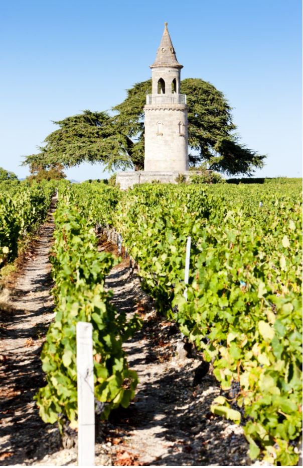 Chartreuses bordelaises, villas basques, châteaux du Périgord, maisons de l'Île de Ré — guide du marché de l'immobilier de prestige en Nouvelle-Aquitaine.