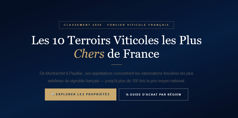 De Montrachet à Pauillac, classement des appellations et parcelles de vigne les plus chères de France à l'hectare, chiffres 2025-2026.