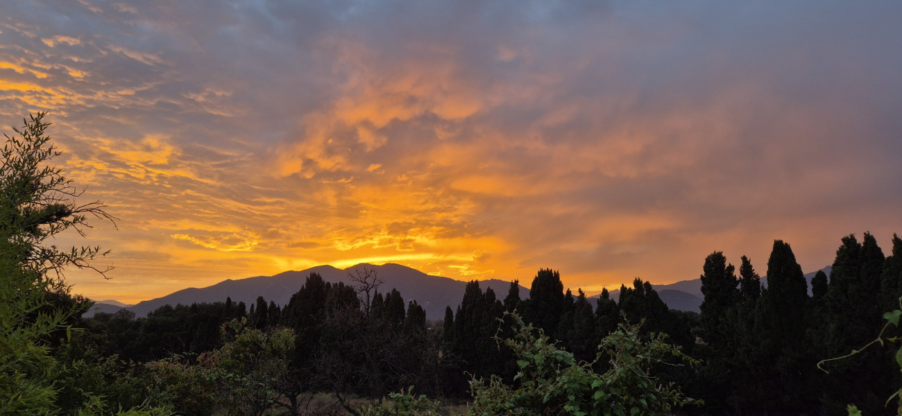 coucher de soleil Domaine Alicia