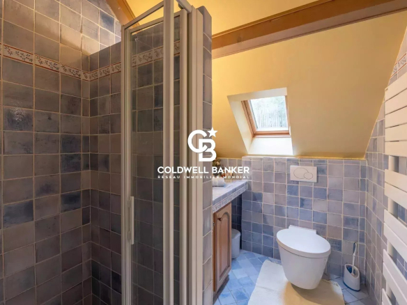 Salle de bain avec douche et toilettes, carrelage bleu et fenêtre de toit.