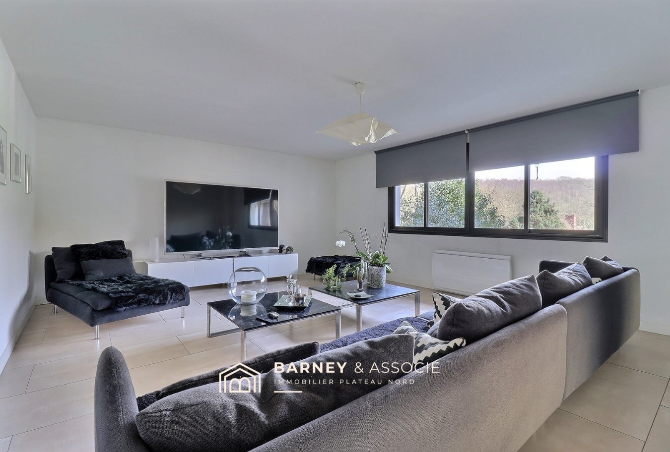 1741609123_VM1093_8_original