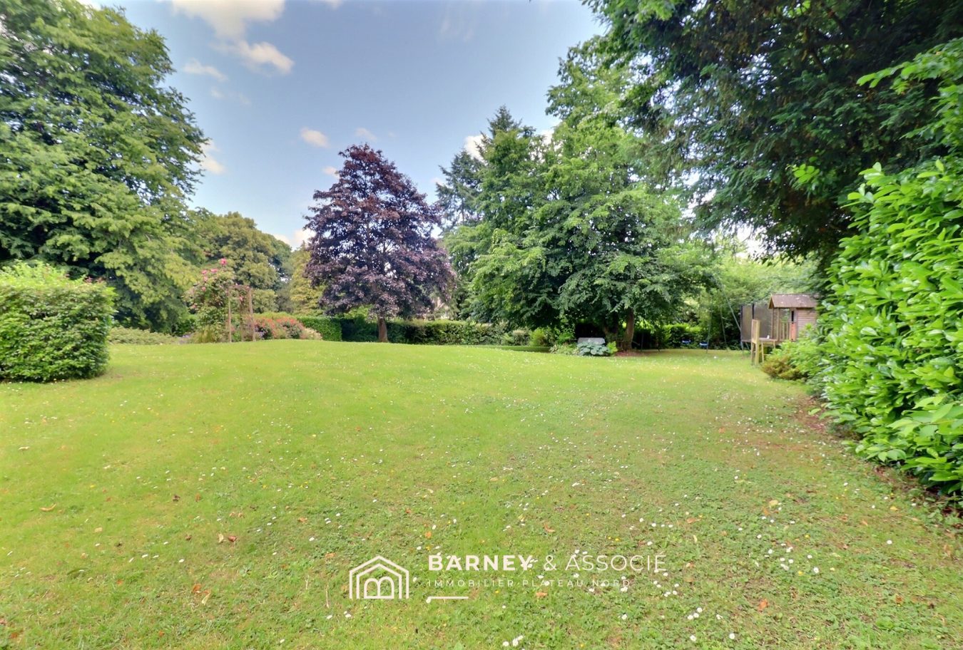 1749911444_VM1204_13_original