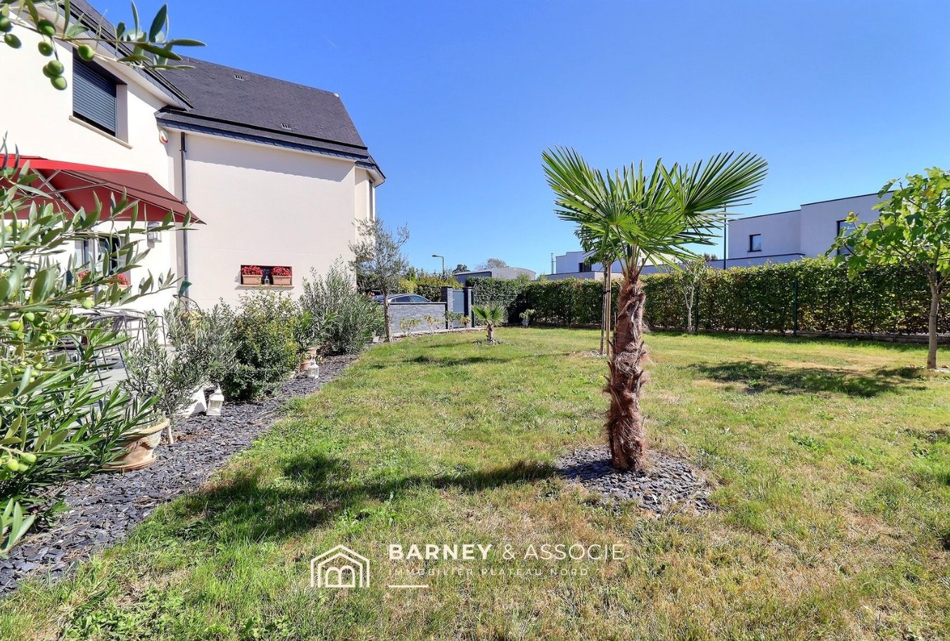 Jardin d’une maison contemporaine Jardin d'une maison contemporaine avec pelouse et palmiers à Bois-Guillaume.