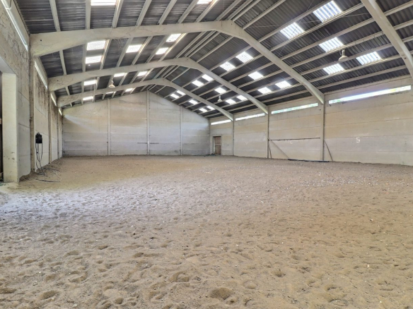Intérieur d'une carrière équestre spacieuse avec sol en sable