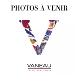 Paris IXe – rue de Liège – 6 pièces, 4 chambres – Standing