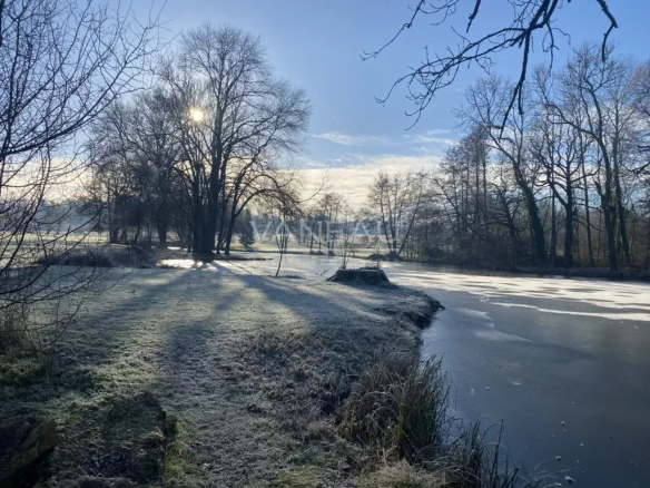 Frosty lakeside scene with bare trees, low sun peeking through branches, and a frozen pond edged by grasses and a small island.