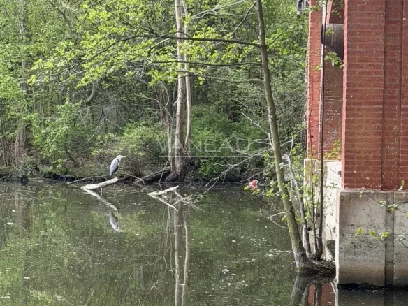 Heron standing on a log in a calm river beside a brick bridge, with green trees reflected in the water.