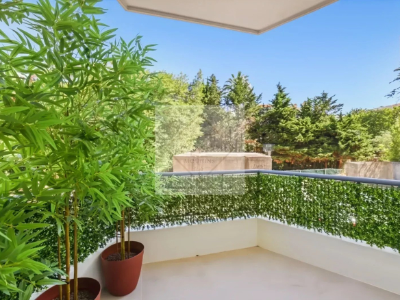 Balcony with tall bamboo plants in terracotta pots, a dense green hedge along the railing, and a clear blue sky above.