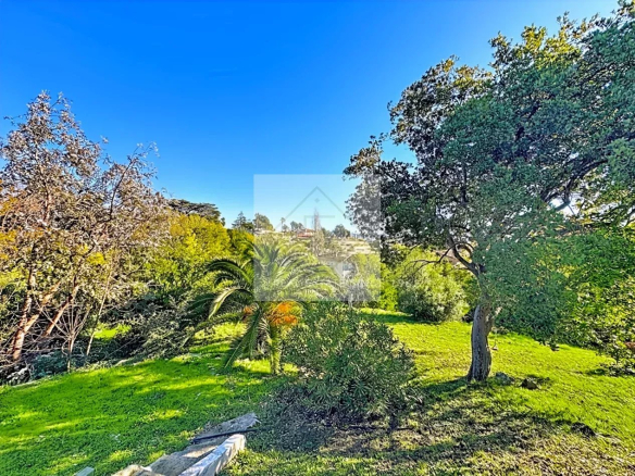 Flat plot of land of approximately 3,300 m² in Mandelieu, with lush vegetation and blue skies.