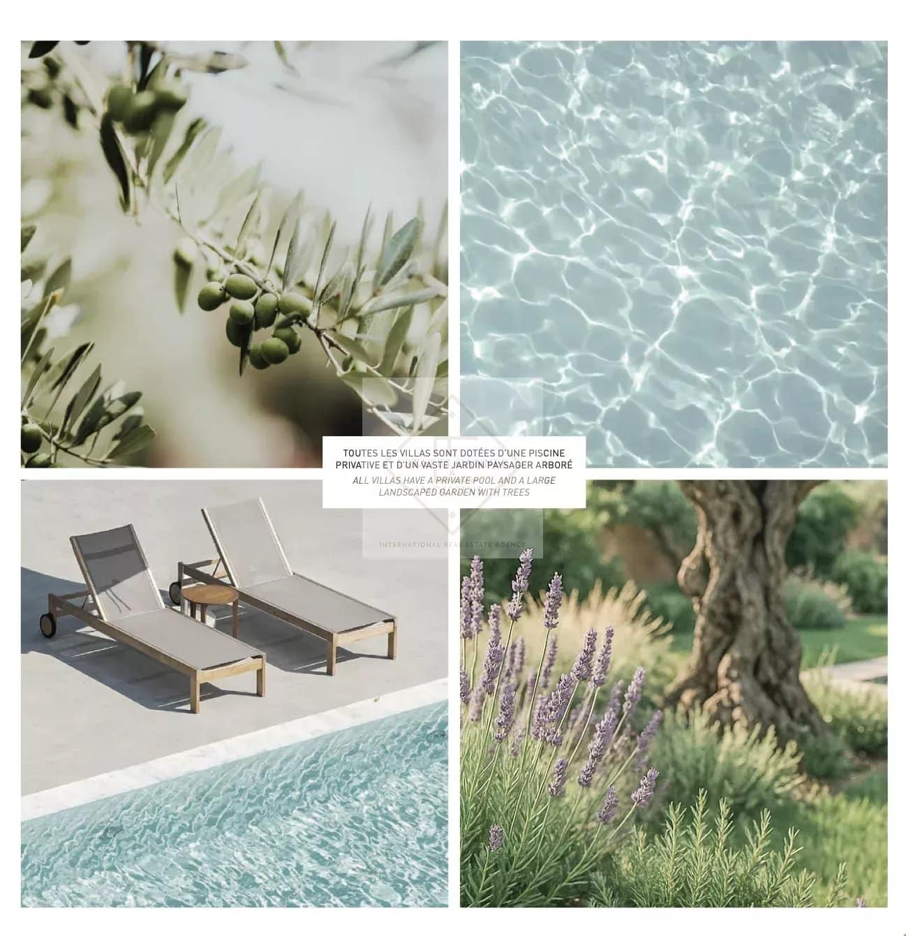 Contemporary villa in Mougins Details of a contemporary villa with swimming pool, sun loungers and Mediterranean garden in Mougins.