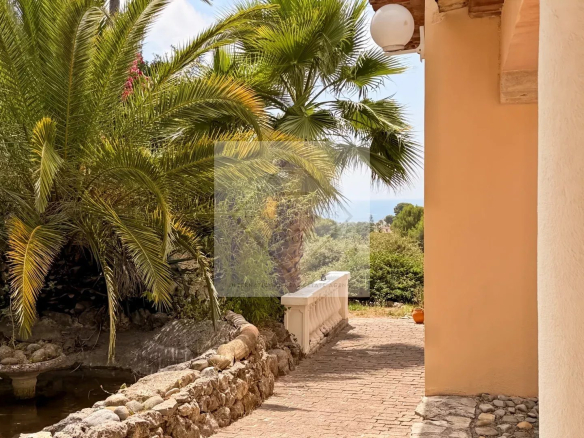 Driveway leading to a villa with sea views, surrounded by palm trees and greenery in Antibes.