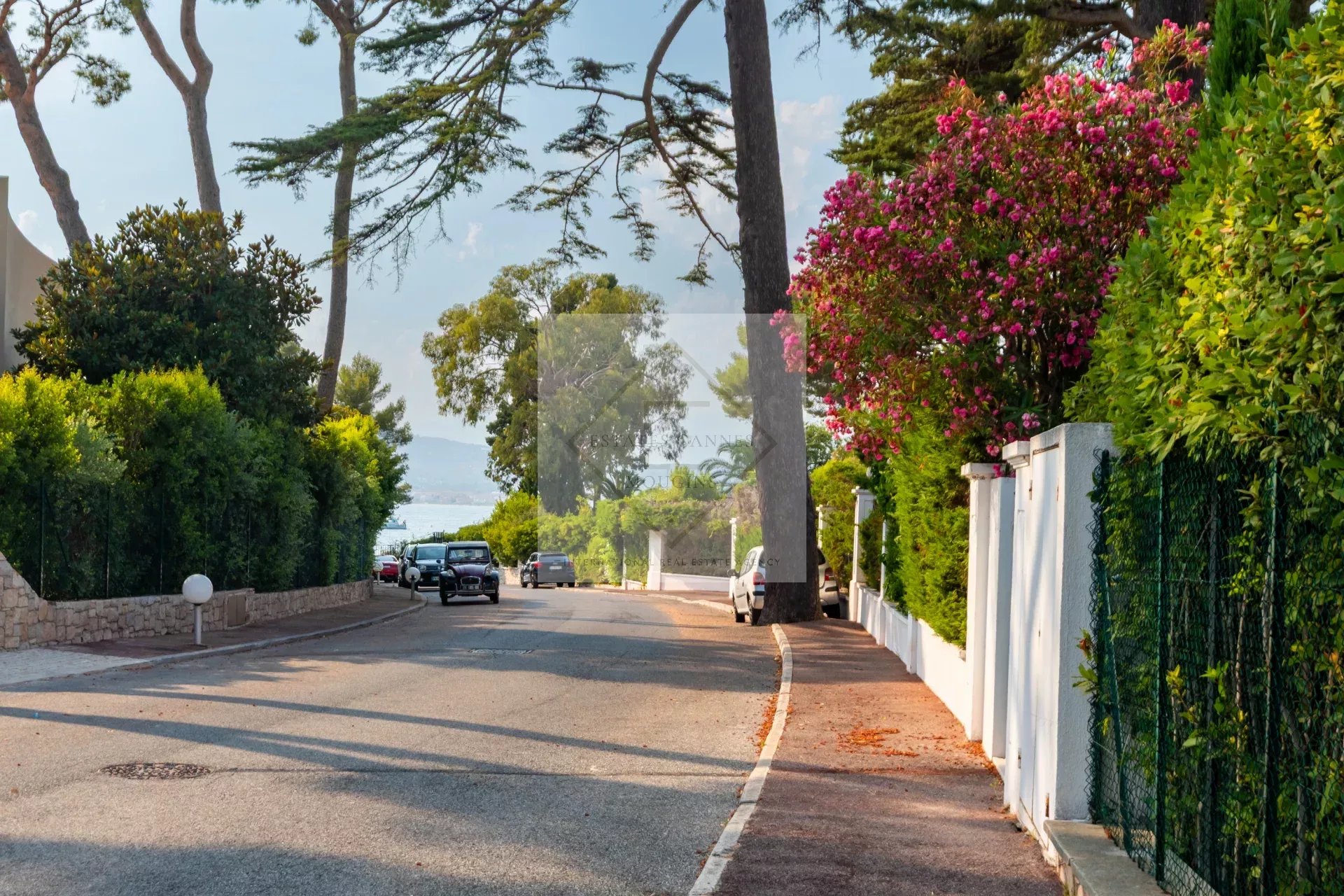 Vue d'une rue bordée d'arbres et de fleurs au Cap d'Antibes, près de la mer.