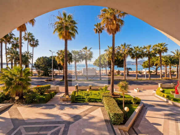 View from an apartment on the Croisette in Cannes, with palm trees and the sea in the background.