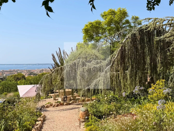 Jardin d'une maison en pierre avec vue sur la mer à Antibes, arbres et plantes luxuriantes.