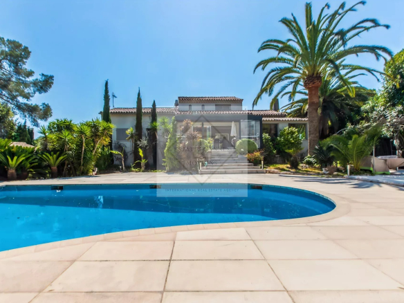 Villa provençale avec piscine et palmiers à Mougins, dans un cadre paisible et sécurisé.
