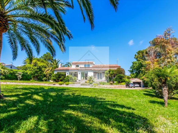 Luxury real estate photo | Charming Properties