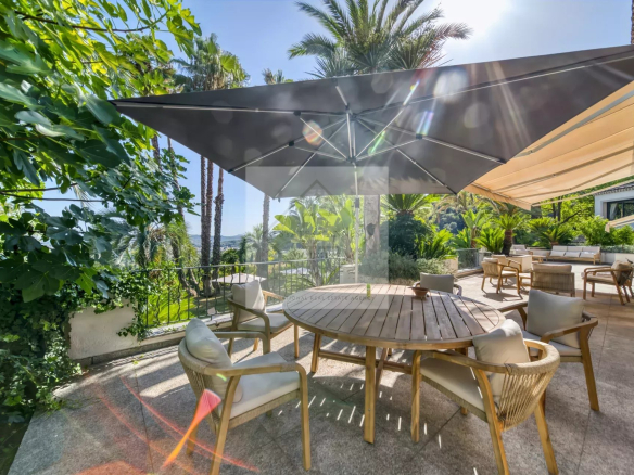 Terrasse ensoleillée avec table en bois et chaises, entourée de verdure et de palmiers.