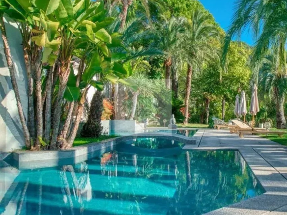 Vue de la piscine entourée de jardins luxuriants dans une villa à Saint-Paul-de-Vence.