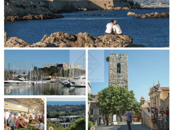 Panoramic view of Antibes and the sea from a high point, with boats in the port and historic buildings.