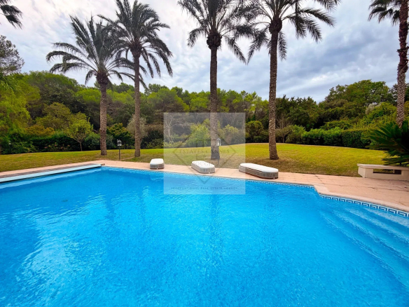 Vue de la piscine et du jardin d'une villa à Mougins avec des palmiers.