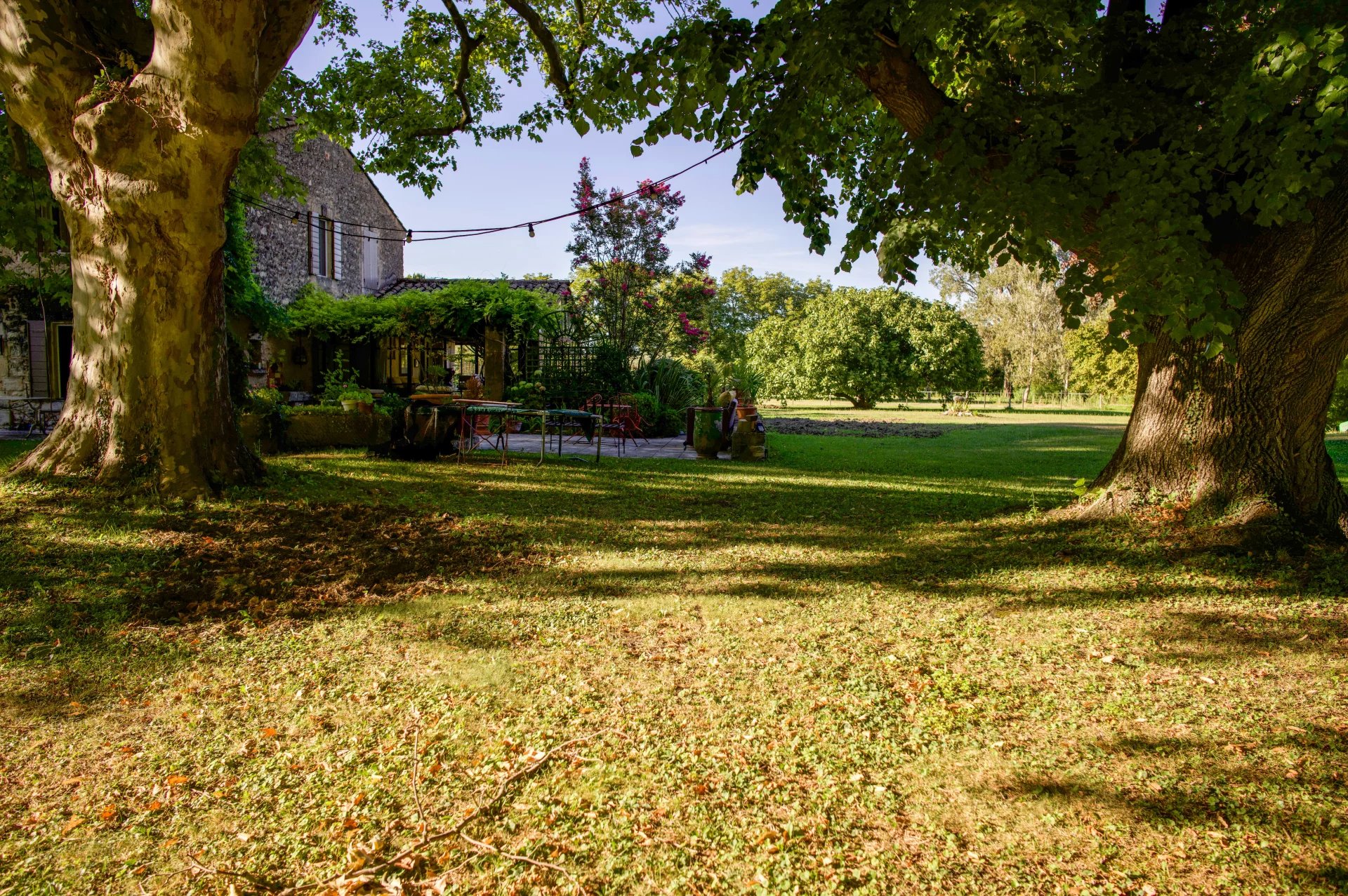 6a5e6487e8d8b9df3466e727ed41d54c_ce149039d4_1920-original