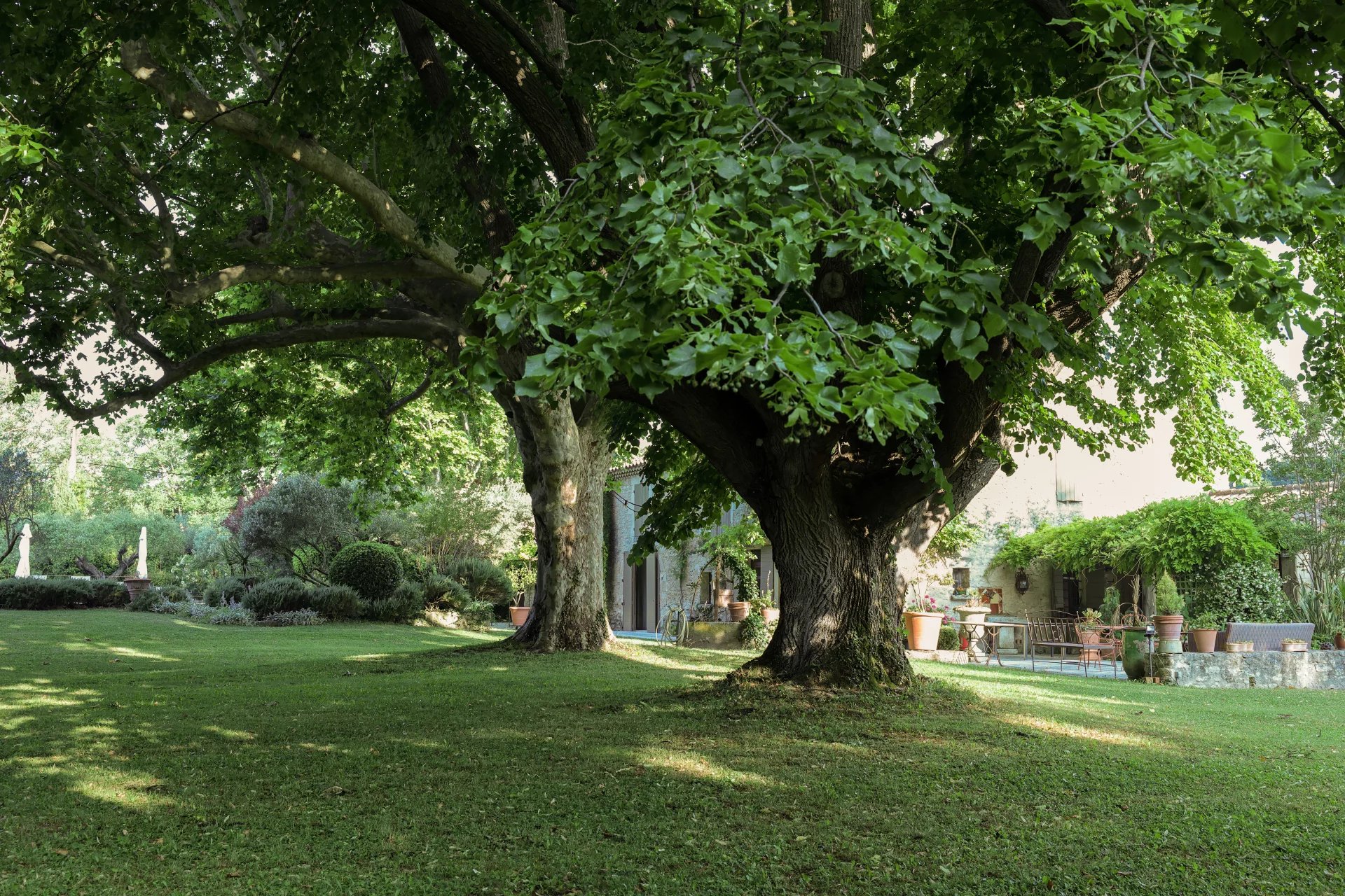 b2a71d51c65acdb064b82340d74ba382_5226e07621_1920-original