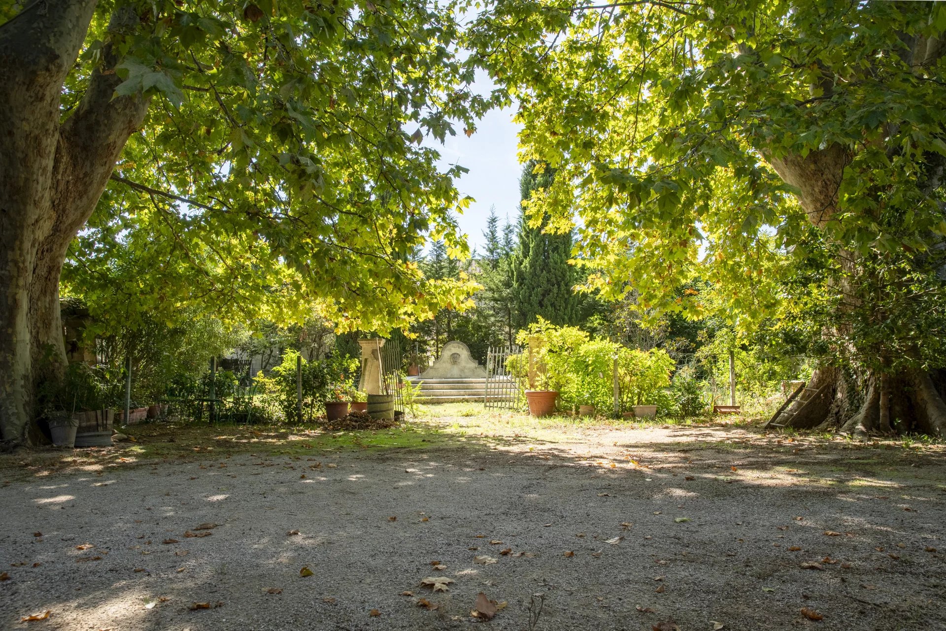 Shaded garden scene framed by large trees, with a gravel path, potted plants, and a small stone wall feature at the end surrounded by greenery.